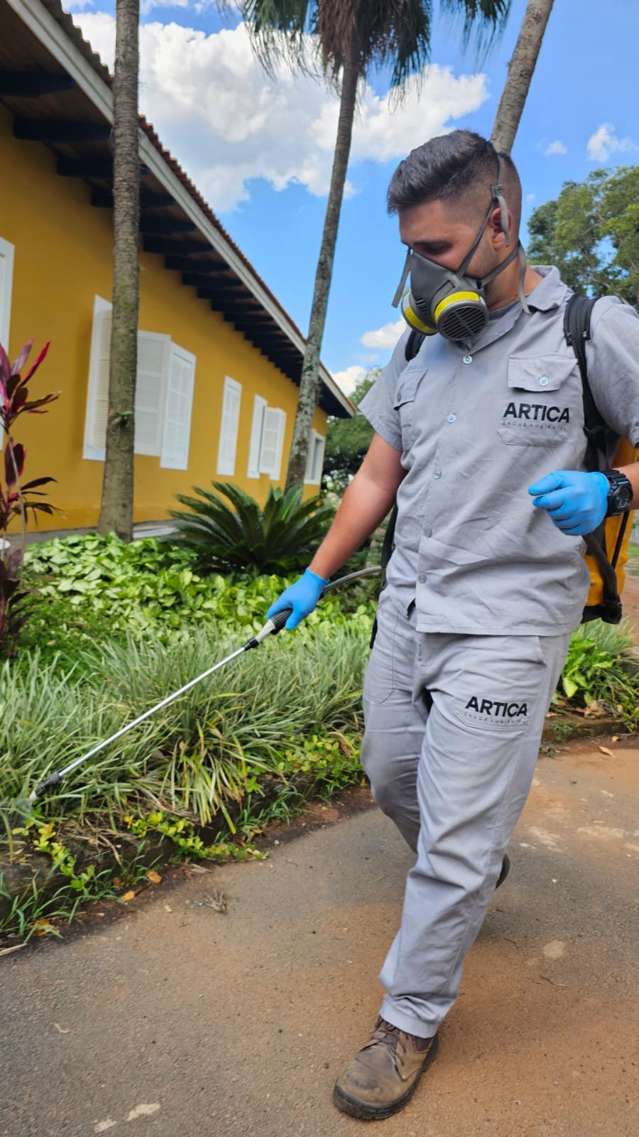 Quanto Custa uma Dedetização? Guia Completo de Preços e Métodos